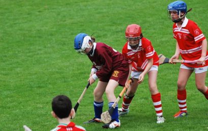 Sciath na Scol
