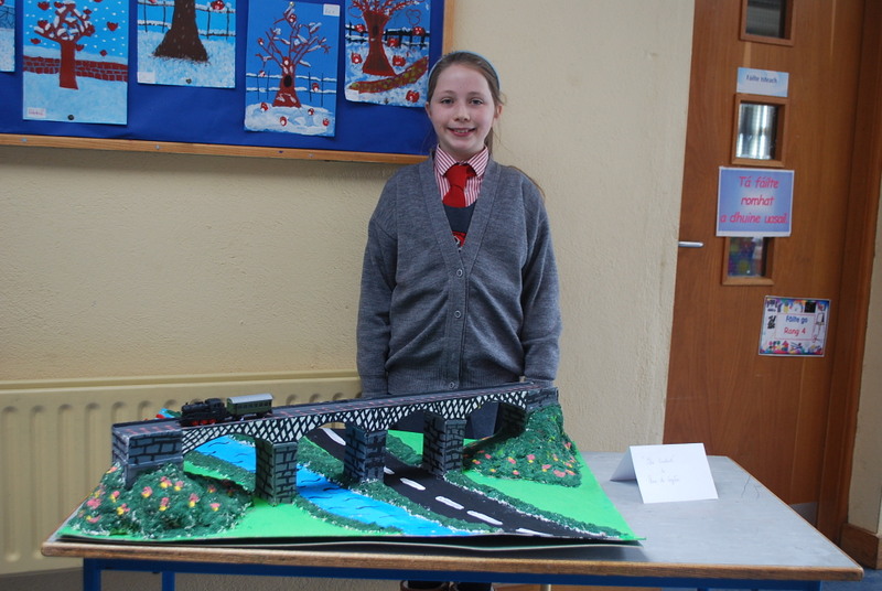 Discover Cork History Projects 2014