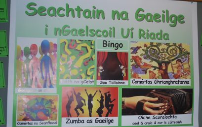 Seachtain na Gaeilge  2014