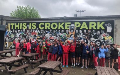 Páirc an Chrócaigh