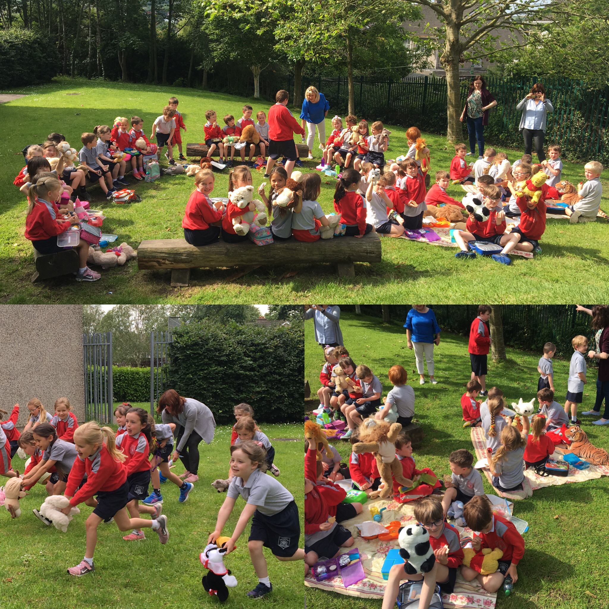 Picnic na mBéiríní! Picnic na mBéiríní!