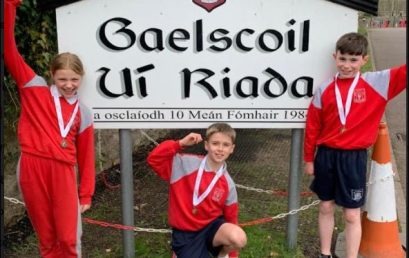 Lúthchleasaíocht na hÉireann.